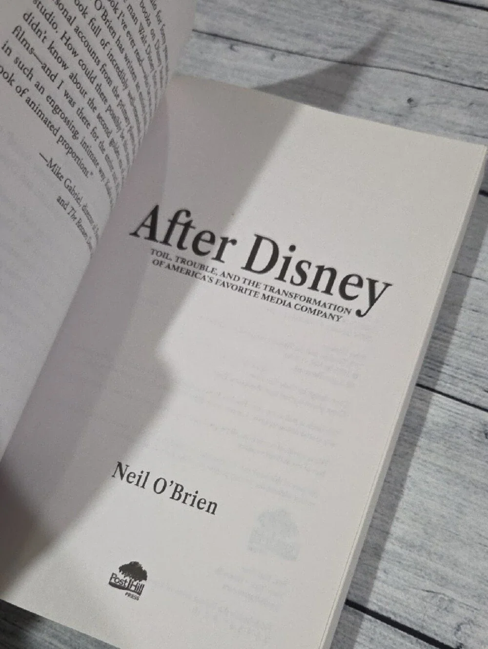 After Disney Hardcover